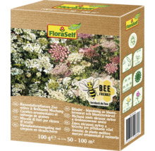 FloraSelf Bienenfutterpflanzen Zier Möhre und Breitsame Mischung Samenpackung