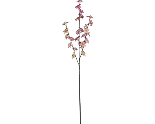 Kunstblume Hoyablütenzweig Höhe: 77 cm rosa