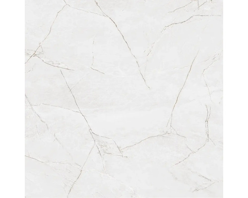 Fliese mit Marmoroptik und Maserung