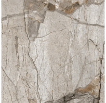 Graue Fliese mit Marmoroptik
