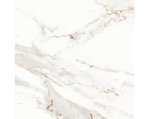 Muster einer Bodenfliese in Marmoroptik