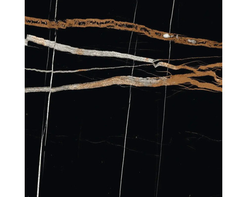 Schwarze Fliese mit Marmorierung in Gold und Weiß