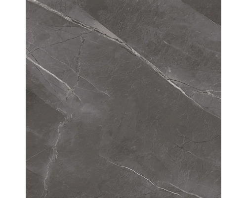 Nahaufnahme einer grauen Feinsteinzeugfliese mit Marmoroptik.