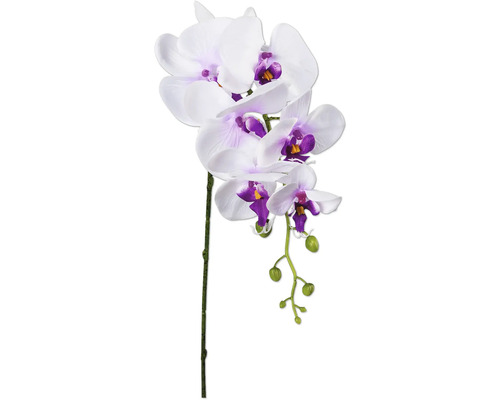 Kunstblume Phalaenopsis Höhe: 86 cm weiß