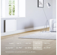 Modernes Wohnzimmer mit Heizkörper an der Wand, Stehlampe und Teppich