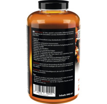 TheraP Pond Bakterienmischung in einer Flasche mit 946 ml Inhalt zur Steigerung der Gesundheit von Fischen im Teich.