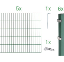 Doppelstabmatten-Set ALBERTS Typ 6/5/6 1000 x 100 cm grün