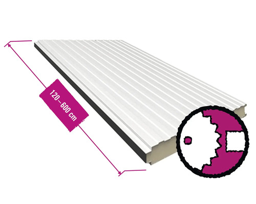 PRECIT Sandwichpaneel PIR RAL 9002 Grauweiß Fix-Breite 1000 mm x Stärke 100 mm (Meterware ab 120 bis max. 600 cm) Sandwichplatte mit einer Länge von 120 bis 600 cm