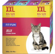 Fit+Fun Katzenfutter Gelee, 92 mal 100 Gramm Packung mit vier Sorten
