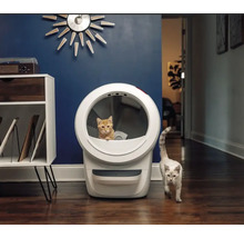 Katze in einer automatischen Katzentoilette neben einer anderen Katze auf einem Holzboden