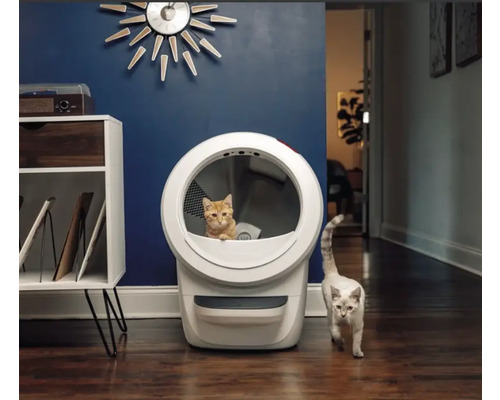 Katze in einer automatischen Katzentoilette neben einer anderen Katze auf einem Holzboden