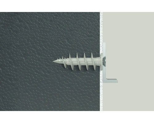 Kunststoffdübel mit Schraube in Wand