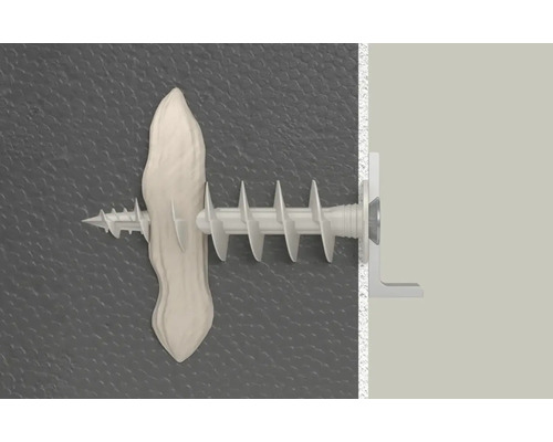 Kunststoff-Hohlraumdübel mit Schraube in der Wand