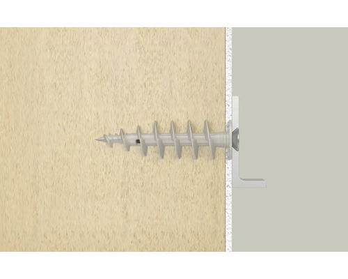 Eine Dübelschraube befindet sich in einer Wand.