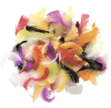 Büschel aus Federn in verschiedenen Farben