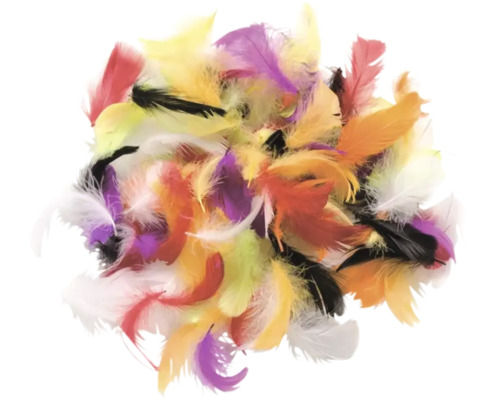Büschel aus Federn in verschiedenen Farben