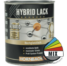 HORNBACH Hybrid Lack glänzend im Wunschfarbton mischen lassen-thumb-0