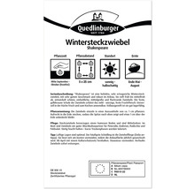 Verpackung Wintersteckzwiebel Shakespeare mit Informationen zu Pflanzzeit, Pflanzabstand, Standort und Erntezeitpunkt