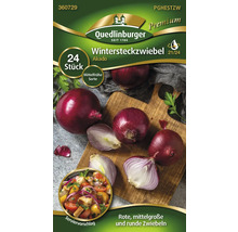 Verpackung Wintersteckzwiebeln Akado, rote, mittelgroße und runde Zwiebeln