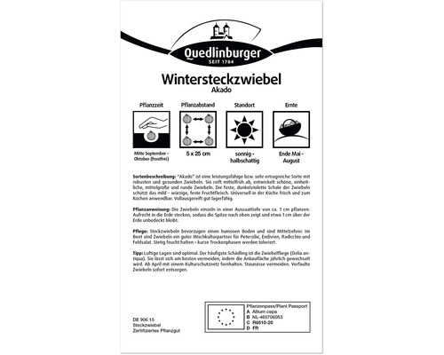 Wintersteckzwiebel Akado Pflanzhinweise