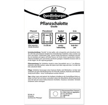 Verpackung Pflanzschalotte Griselle mit Informationen zu Pflanzzeit, Pflanzabstand, Standort und Ernte