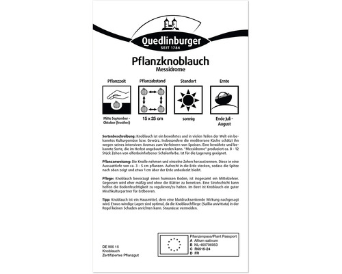 Informationen zum Anbau von Messidrome Pflanzknoblauch
