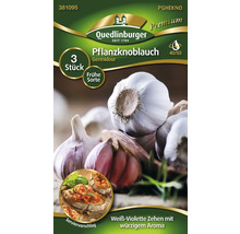 Pflanzknoblauch der Sorte Germidour, 3 Stück
