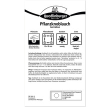Pflanzknoblauch Germidour Produktverpackung mit Informationen zu Pflanzzeit, Pflanzabstand, Standort und Erntezeit