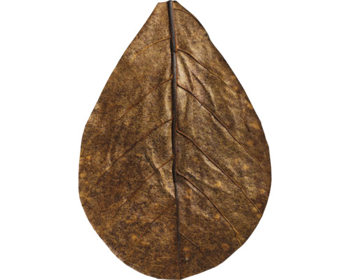 Braunes, trockenes Blatt mit sichtbaren Blattadern