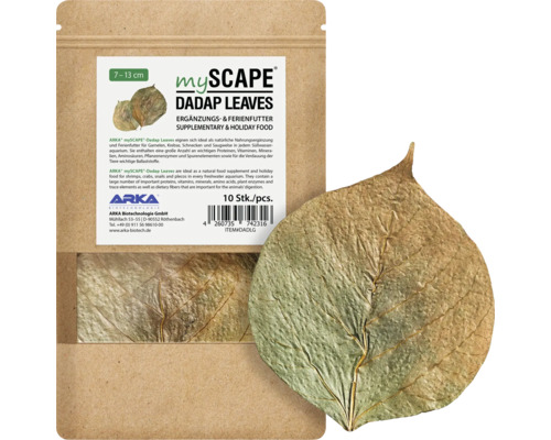 Indischer Korallenbaum ARKA mySCAPE Dadap Leaves 7 - 13 cm 10 Stück natürliche Wasserpflege, Nahrungsergänzung, pH-Wert senkend mit wertvollen Humin- und Fulvolsäuren