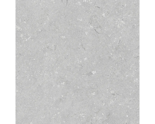 Feinsteinzeug Terrassenplatte Shellstone grigio rektifizierte Kante 60 cm x 60 cm x 2 cm Nahaufnahme einer grauen Natursteinfliese