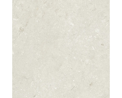 Feinsteinzeug Terrassenplatte Shellstone beige rektifizierte Kante 60 cm x 60 cm x 2 cm Fliesenoberfläche mit Steinoptik