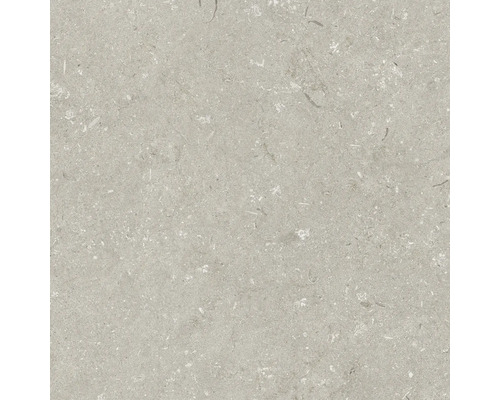 Feinsteinzeug Terrassenplatte Shellstone taupe rektifizierte Kante 60 cm x 60 cm x 2 cm Nahaufnahme einer Bodenfliese mit natürlicher Steinstruktur