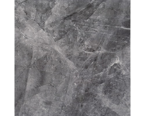 Feinsteinzeug Bodenfliese Dalven 60,0x60,0 cm anthrazit glänzend Feinsteinzeug Bodenfliese Dalven 60,0x60,0 cm anthrazit glänzend