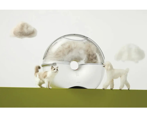 Haartrockner für Haustiere mit Katze und Hund