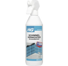 HG Schimmelvernichter Schaumspray, 500 Milliliter Flasche