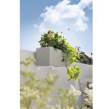 Grauer Pflanzkasten mit Halterung und Bepflanzung an einer Wand.