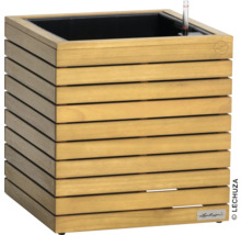 Holzpflanzgefäß mit Bewässerungssystem und Wasserstandsanzeige