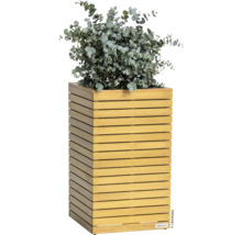 Pflanzkübel aus Holz mit Eukalyptusbepflanzung