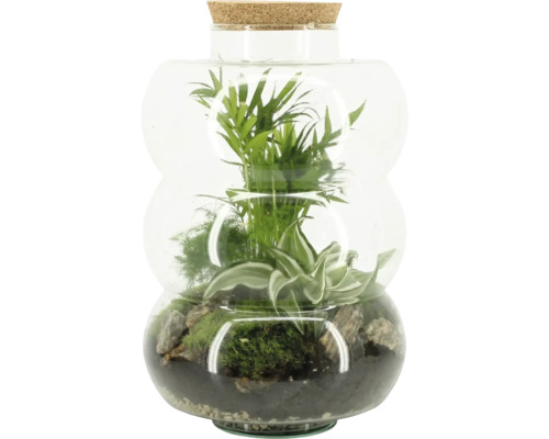 Terrarium mit Pflanzen und Korkdeckel