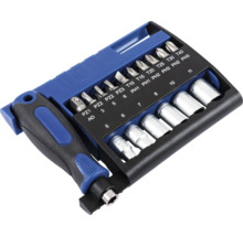 Bitset mit Schraubendrehergriff und verschiedenen Bits