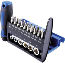 Schraubendreher Set mit verschiedenen Bits und Aufsätzen