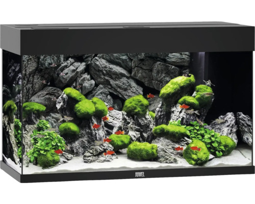 Aquarium JUWEL Rio 125 mit LED-Beleuchtung, Pumpe, Filter, Heizer ohne Unterschrank schwarz