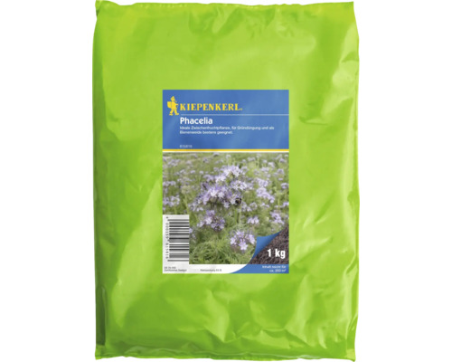 Gründünger Kiepenkerl 'Phacelia' 1 kg Kiepenkerl Phacelia Saatgut in einer 1 Kilogramm Packung