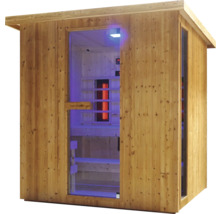 Holzsauna mit Glastür und Infrarotstrahler