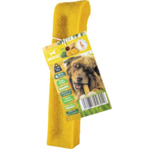 Gelblicher Dauerknochen mit Kurkuma für Hunde