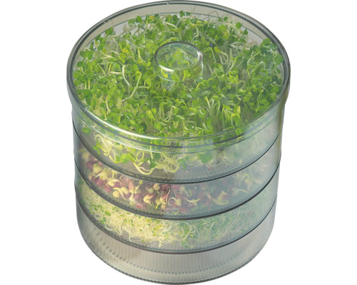 Sprossenbox Kiepenkerl mit 4 Etagen Sprossenbox Kiepenkerl mit 4 Etagen
