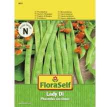 Samenpackung Prunkbohne Lady Di der Marke FloraSelf