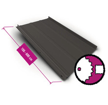 Trapezblech mit einer Länge von 100 bis 600 cm