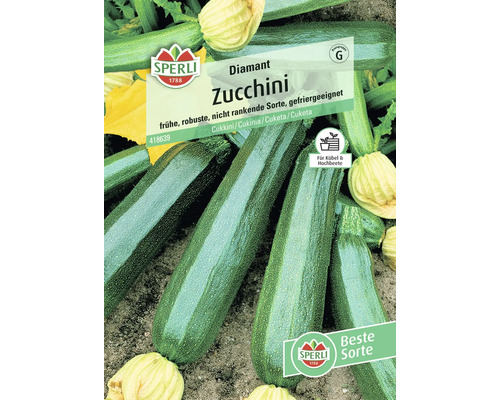 Zucchini 'Diamant F1' Gemüsesamen